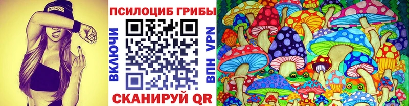 hydra зеркало  Петровск  Галлюциногенные грибы Magic Shrooms 